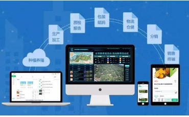 水果網(wǎng)紅避雷指南，“橙”心“橙”意做溯源